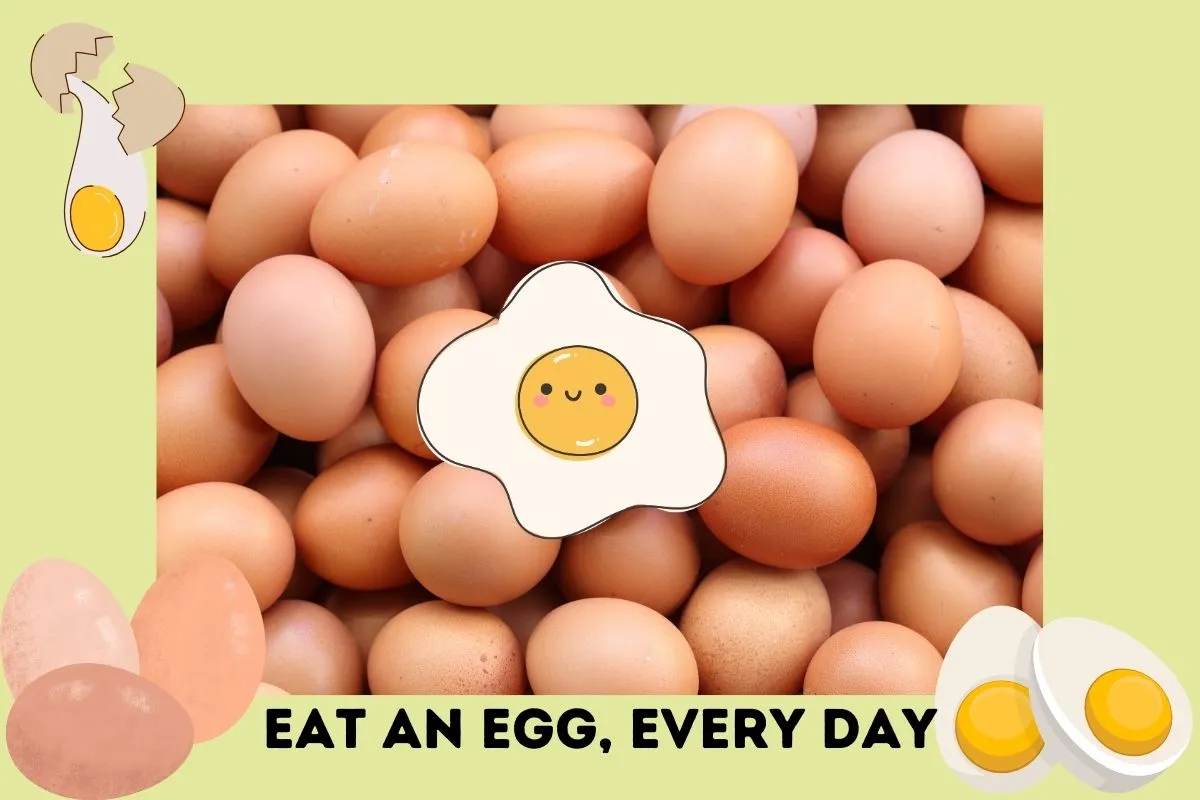 8 ways to Spot Fake Eggs