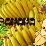 केला (Bananas): क्यों नहीं अपने आहार में शामिल करते?